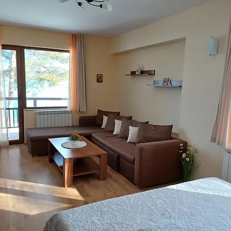 Hotel Santa Maria Tsigov Chark